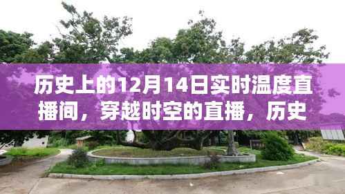 历史上的十二月十四日实时温度揭秘,穿越时空的直播直播间