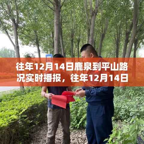 往年12月14日鹿泉至平山路况实时播报详解,特性、体验、对比及用户分析评测报告