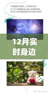 12月实时身边事,记录生活的温暖点滴