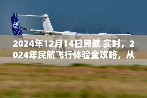 2024年民航飞行体验全攻略,从购票到登机实时步骤指南(适合初学者与进阶用户)