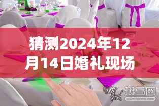 未来婚礼科技展望,实时播放技术如何为2024年婚礼增添光彩