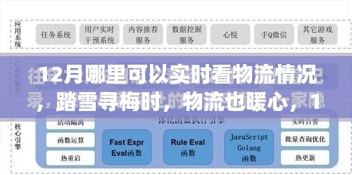 踏雪寻梅时,物流暖心相伴,十二月物流实时追踪与心灵旅行的融合体验