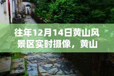黄山风景区往年12月14日实时摄像,领略脚下小巷秘境的绝美风光与特色小店之旅
