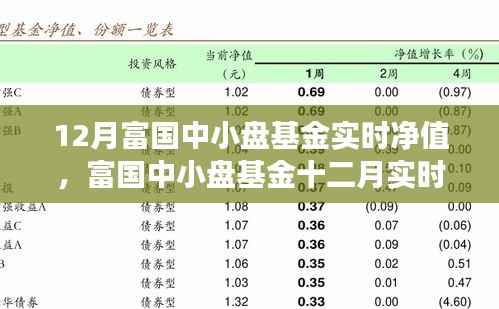 富国中小盘基金十二月实时净值背景深度解析与事件影响评估