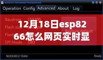 ESP8266网页实时数据显示指南,12月18日ESP8266实时数据展示教程