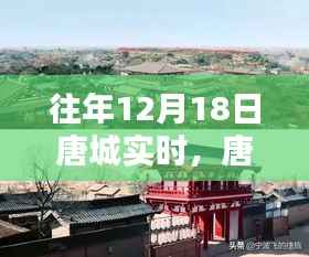 唐城日常,十二月十八日的温暖时光记录