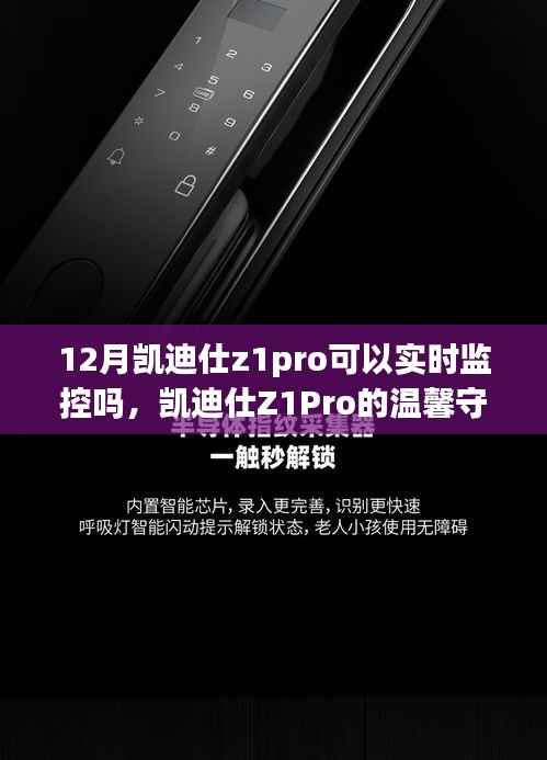 凯迪仕Z1Pro的温馨守护,友情与陪伴的十二月故事中的实时监控之旅