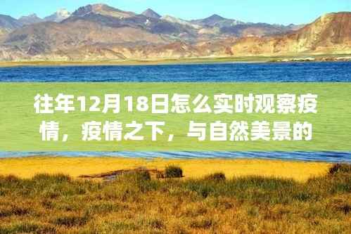 疫情之下的心灵之旅,实时观察疫情与与自然美景的邂逅历程