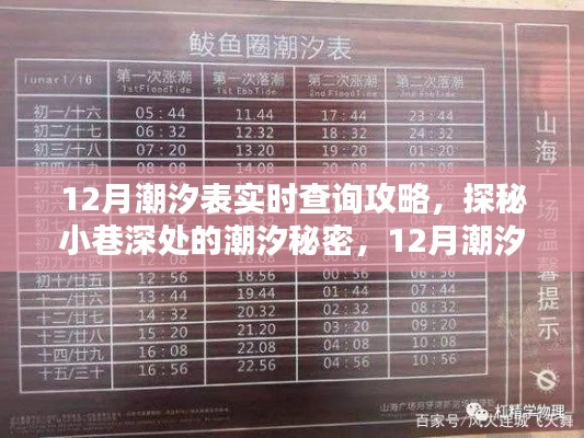 揭秘潮汐秘密,12月潮汐表实时查询攻略与特色小店探秘之旅