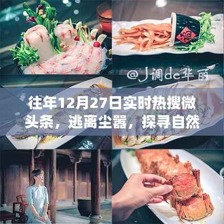 逃离城市喧嚣,探寻自然美景,一场温暖人心的旅行盛宴