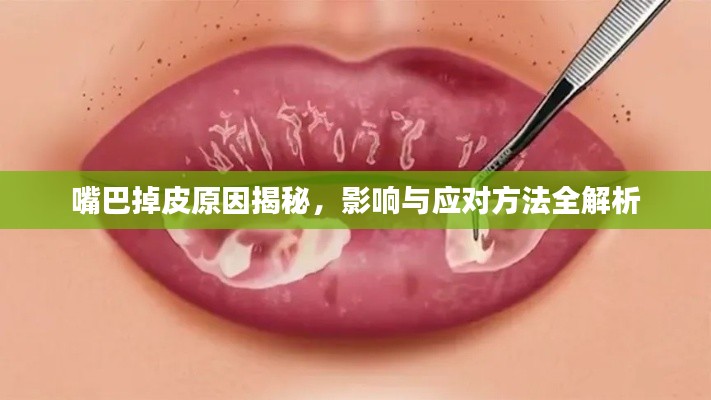 嘴巴掉皮原因揭秘,影响与应对方法全解析