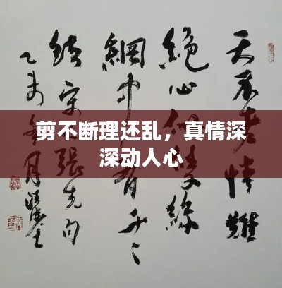 剪不断理还乱,真情深深动人心