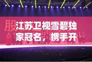 江苏卫视雪碧独家冠名,携手开启全新篇章,共创辉煌未来!