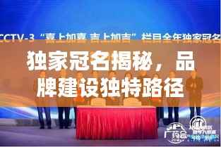 独家冠名揭秘,品牌建设独特路径大揭秘
