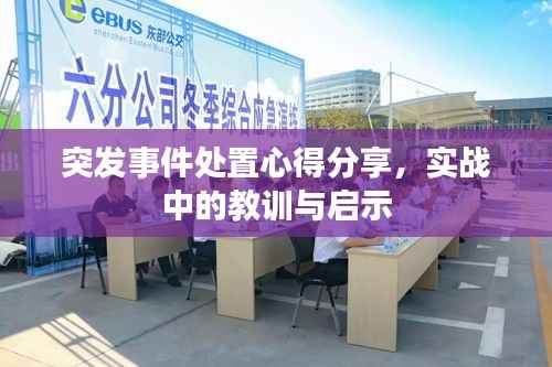 突发事件处置心得分享,实战中的教训与启示