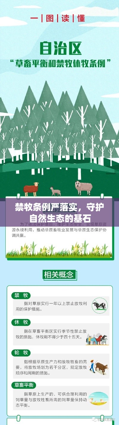 禁牧条例严落实,守护自然生态的基石