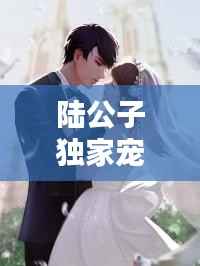 陆公子独家宠爱 小说,小说陆公子的独家宠爱