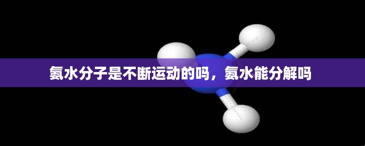 氨水分子是不断运动的吗,氨水能分解吗