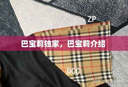 巴宝莉独家,巴宝莉介绍