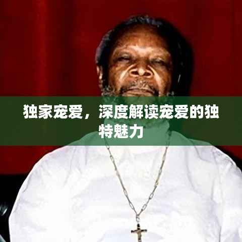 独家宠爱,深度解读宠爱的独特魅力