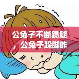 公兔子不断踢腿,公兔子跺脚咋回事