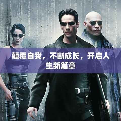 资料下载 第229页