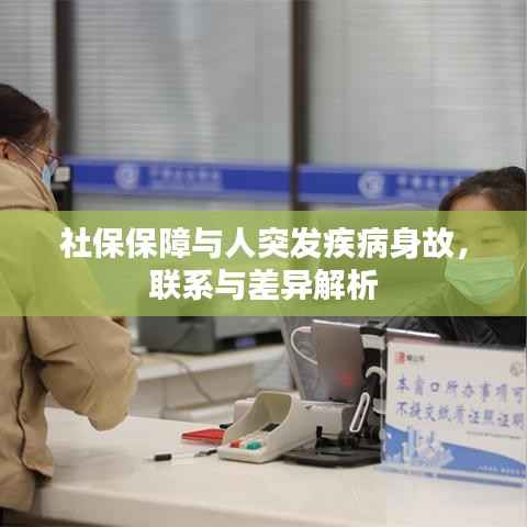 社保保障与人突发疾病身故,联系与差异解析