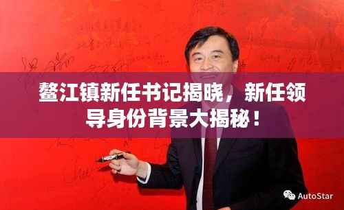 鳌江镇新任书记揭晓,新任领导身份背景大揭秘!