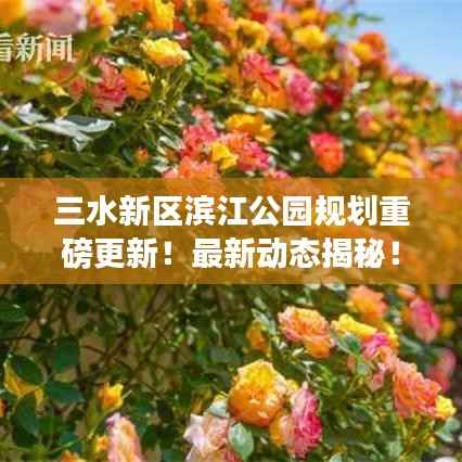 三水新区滨江公园规划重磅更新!最新动态揭秘!