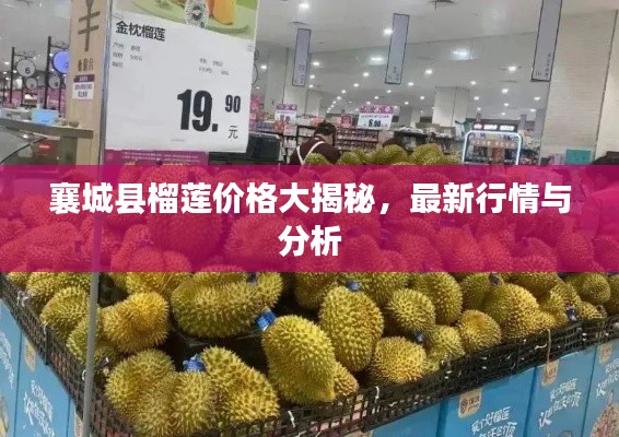 襄城县榴莲价格大揭秘,最新行情与分析