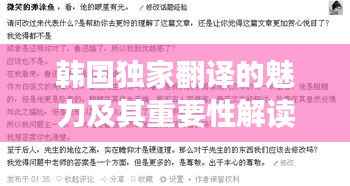 韩国独家翻译的魅力及其重要性解读