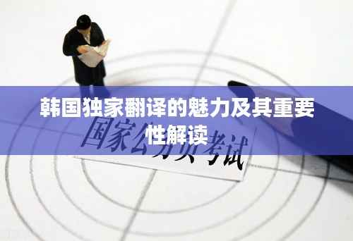 韩国独家翻译的魅力及其重要性解读