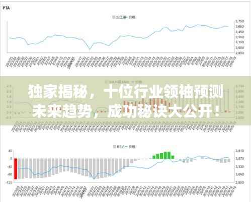 独家揭秘,十位行业领袖预测未来趋势,成功秘诀大公开!