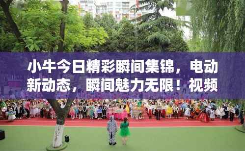 小牛今日精彩瞬间集锦,电动新动态,瞬间魅力无限!视频大全最新更新