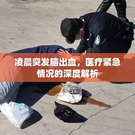 凌晨突发脑出血,医疗紧急情况的深度解析