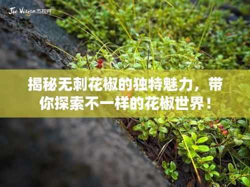 揭秘无刺花椒的独特魅力,带你探索不一样的花椒世界!