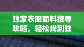 独家衣服面料搜寻攻略,轻松找到独特面料资源!