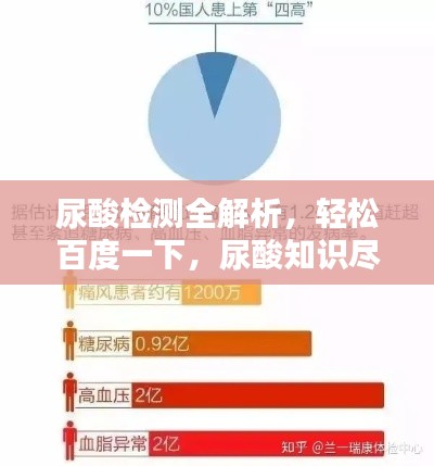 尿酸检测全解析,轻松百度一下,尿酸知识尽掌握