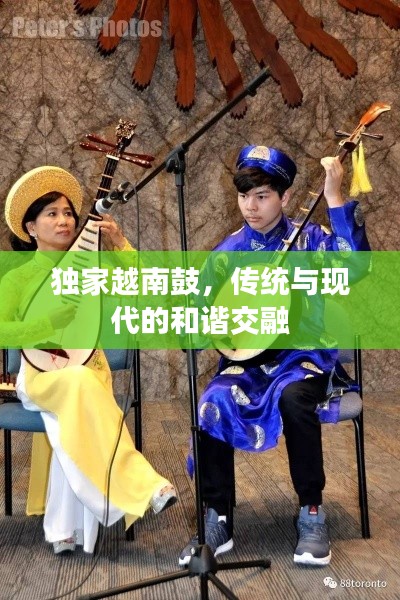 独家越南鼓,传统与现代的和谐交融
