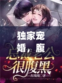独家宠婚,腹黑老公强势来袭!