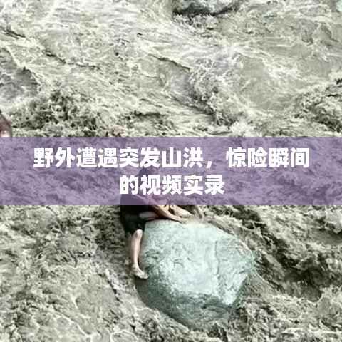 野外遭遇突发山洪,惊险瞬间的视频实录