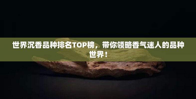 世界沉香品种排名TOP榜,带你领略香气迷人的品种世界!