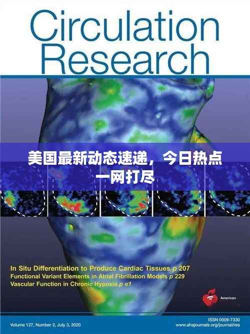 美国最新动态速递,今日热点一网打尽