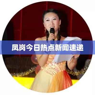 凤岗今日热点新闻速递