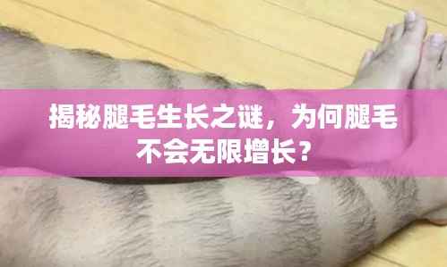 揭秘腿毛生长之谜,为何腿毛不会无限增长?
