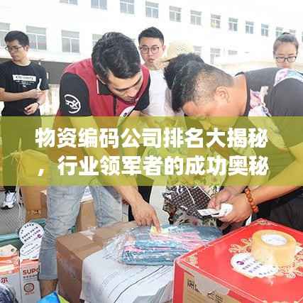 物资编码公司排名大揭秘,行业领军者的成功奥秘!