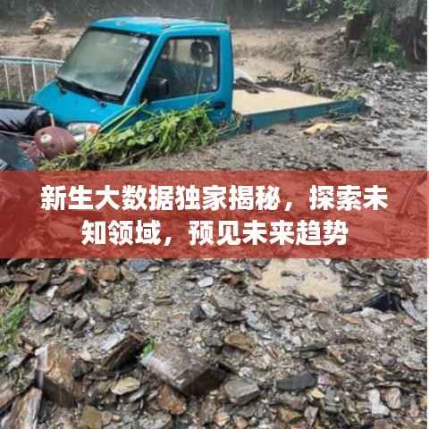 新生大数据独家揭秘,探索未知领域,预见未来趋势