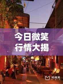 今日微笑行情大揭秘,最新动态与走势分析
