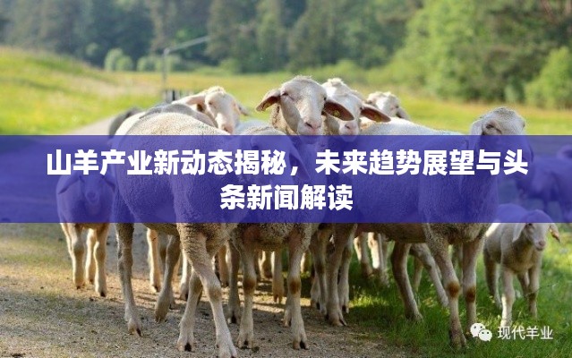 山羊产业新动态揭秘,未来趋势展望与头条新闻解读