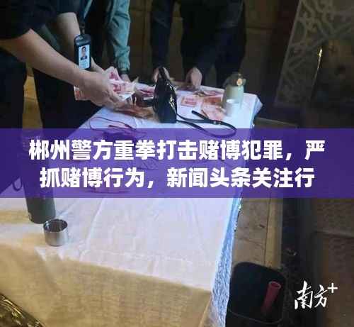 郴州警方重拳打击赌博犯罪,严抓赌博行为,新闻头条关注行动进展